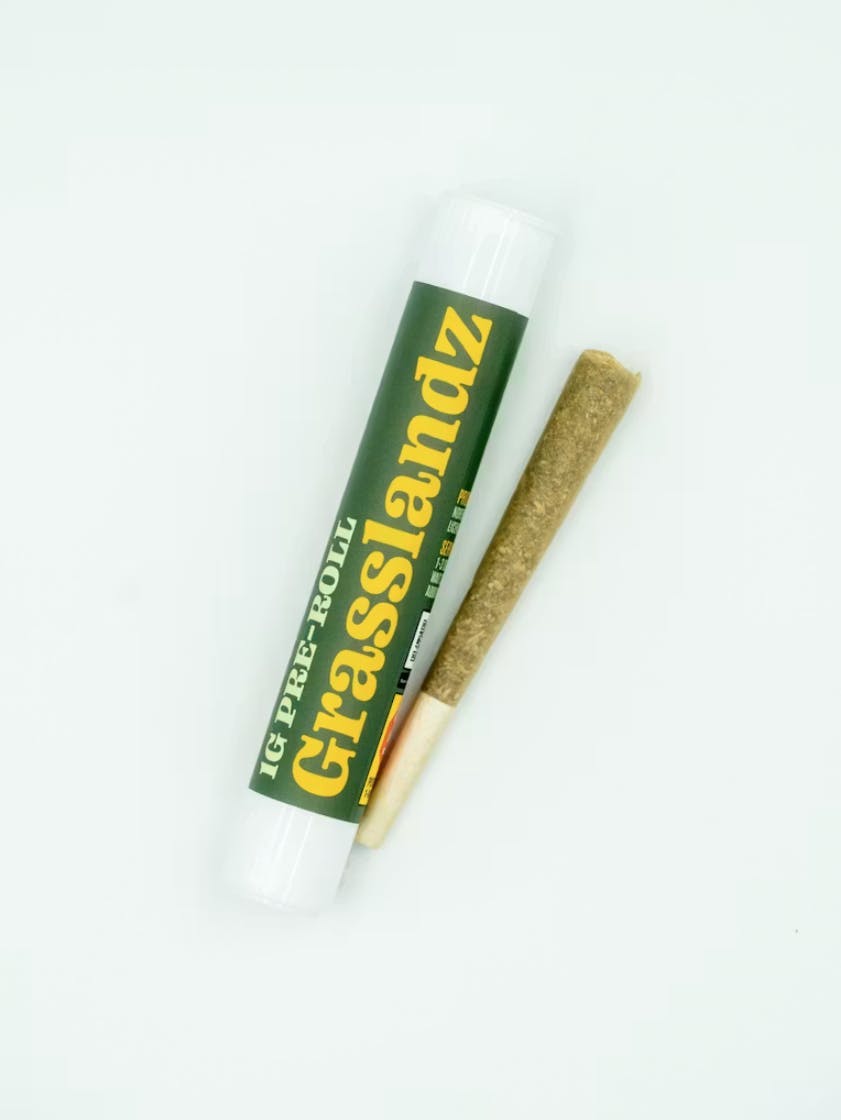 Grasslandz - Grasslandz | Blueberry Muffin | Joint | 1g - 1
