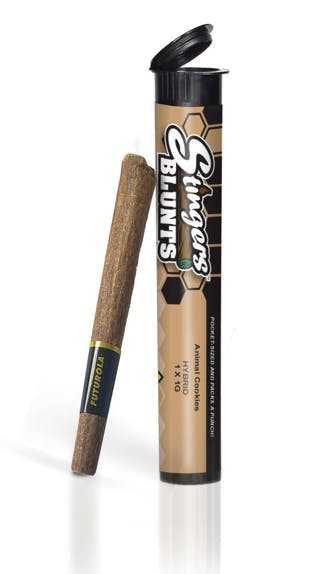 Stingers - Brand - Stingers | Watermelon Gusher | Infused Blunt | 1g - 1