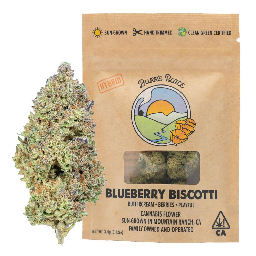 Burr's Place - Blueberry Biscotti | Big Buds | 3.5g - 1