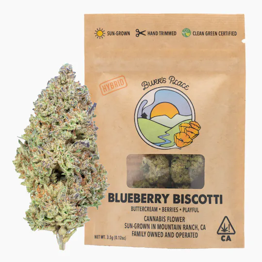 Burr's Place - Blueberry Biscotti | Big Buds | 3.5g - 1