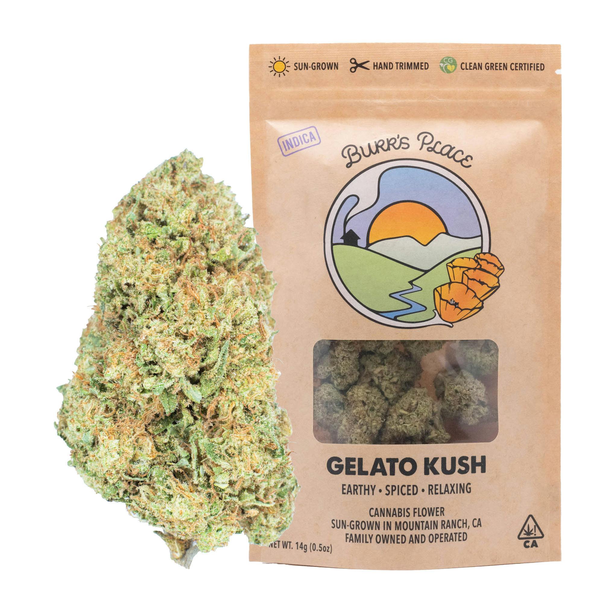 Burr's Place - Gelato Kush | Big Buds | 14g - 1