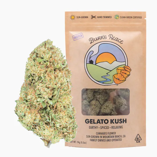 Burr's Place - Gelato Kush | Big Buds | 14g - 1