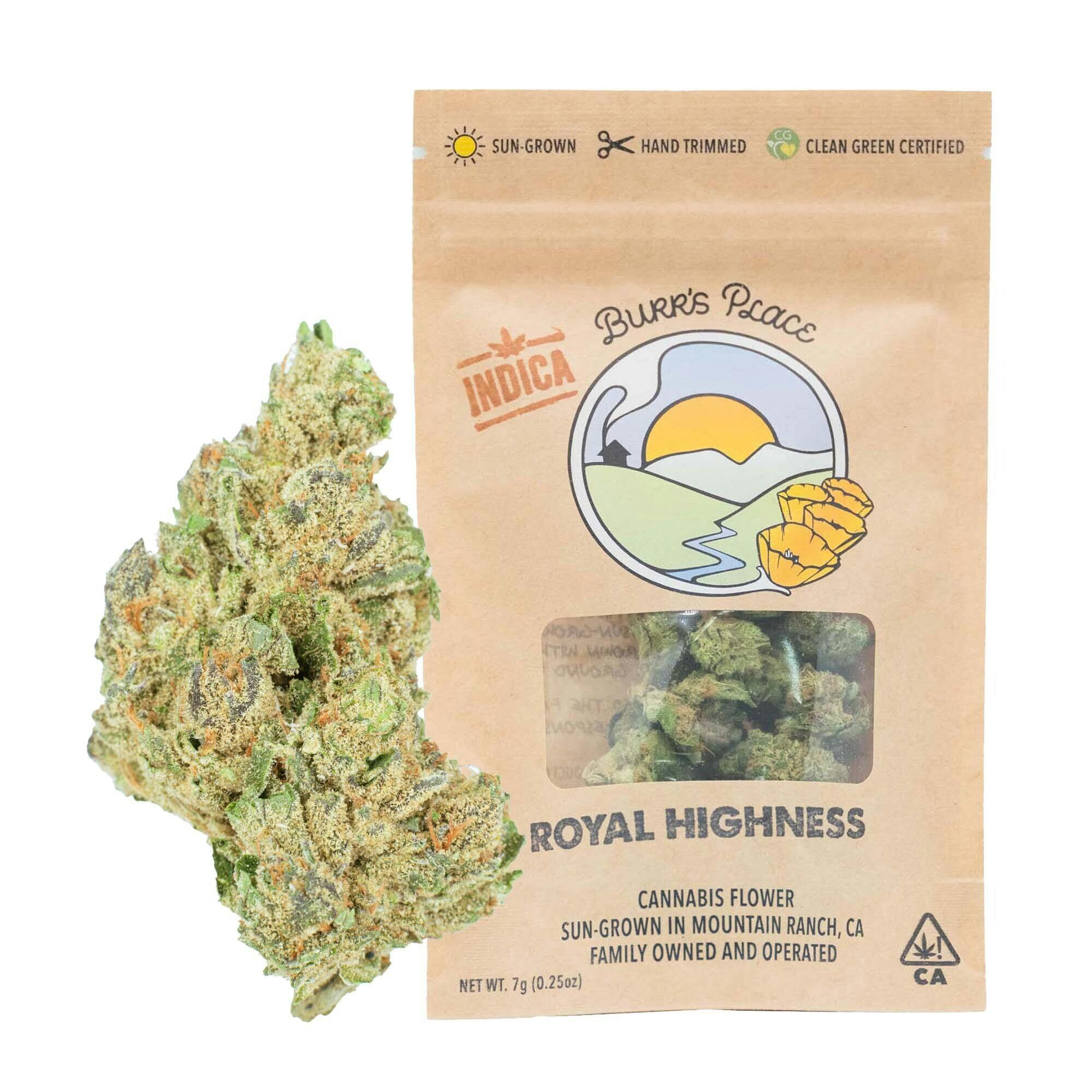 Burr's Place - Royal Highness | Big Buds | 7g - 1