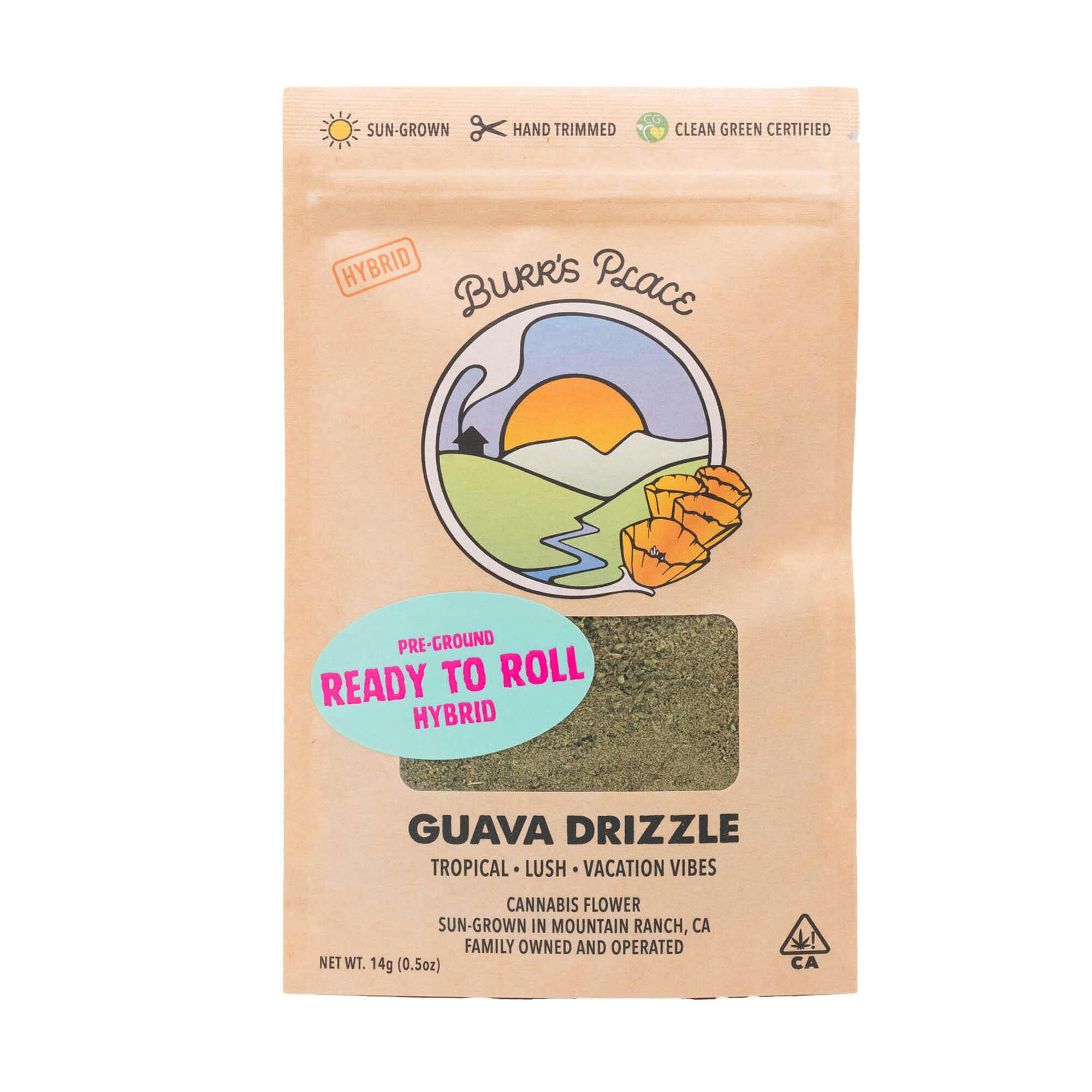 Burr's Place - Guava Drizzle | Ground | 14g - 1