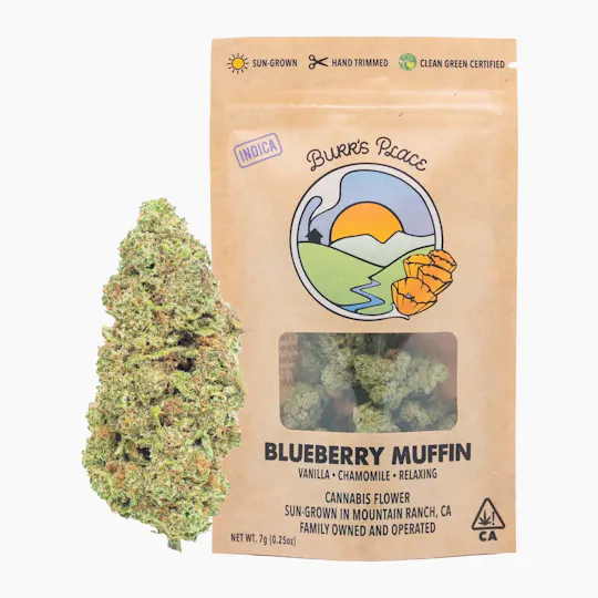Burr's Place - Blueberry Muffin | Big Buds | 7g - 1