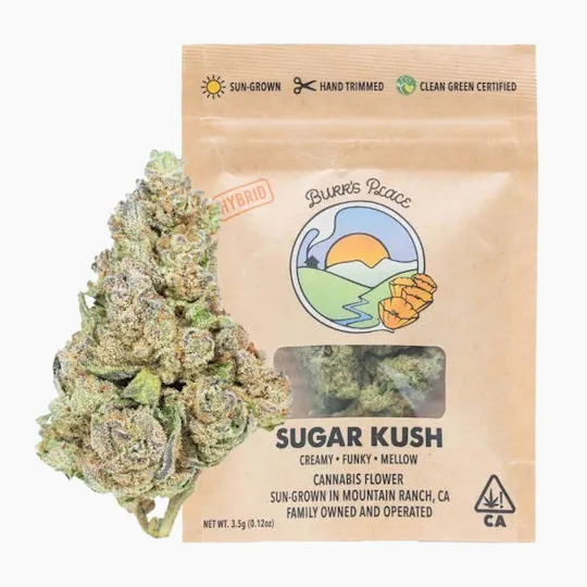 Burr's Place - Burr's Place | Sugar Kush | Big Buds | 3.5g - 1