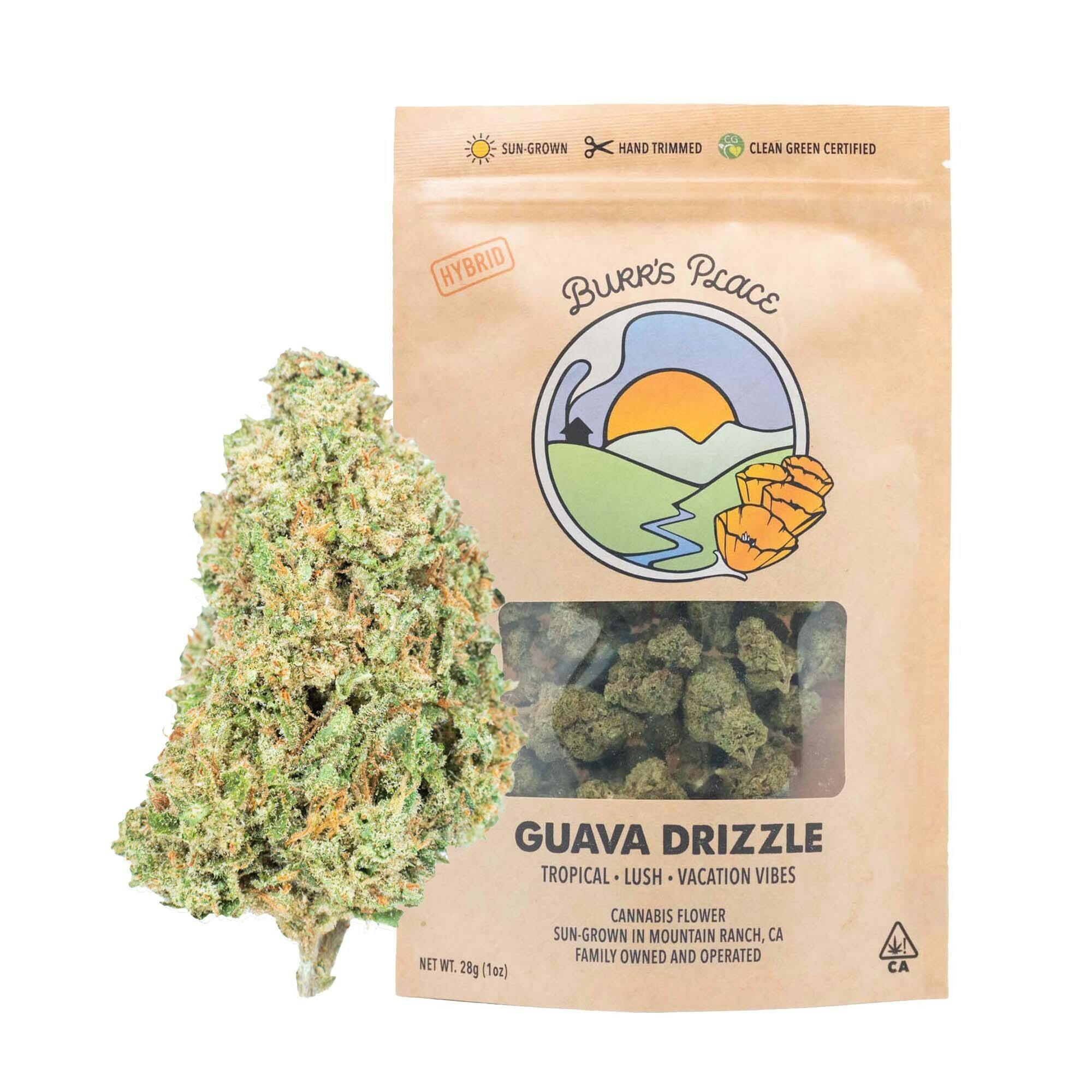 Burr's Place - Guava Drizzle | Big Buds | 28g - 1