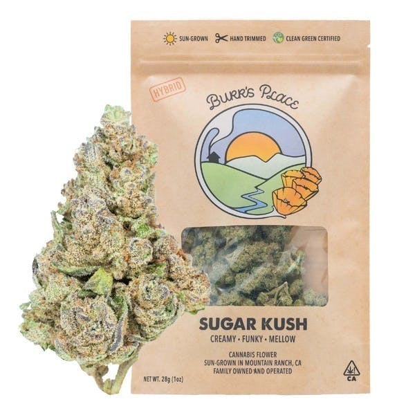 Burr's Place - Burr's Place | Sugar Kush | Big Buds | 28g - 1