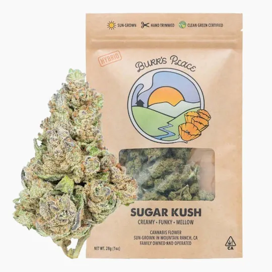 Burr's Place - Burr's Place | Sugar Kush | Big Buds | 28g - 1
