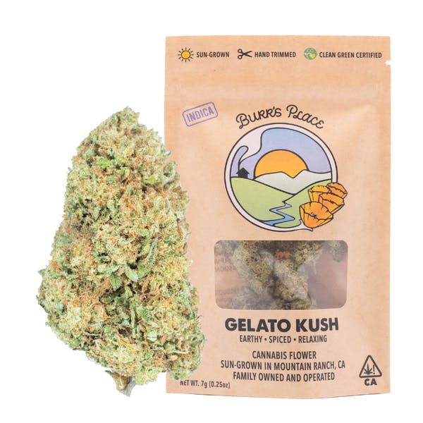 Burr's Place - Burr's Place | Gelato Kush | Big Buds | 7g - 1