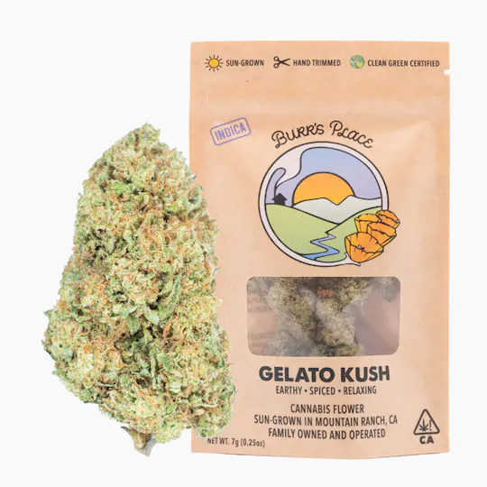 Burr's Place - Burr's Place | Gelato Kush | Big Buds | 7g - 1