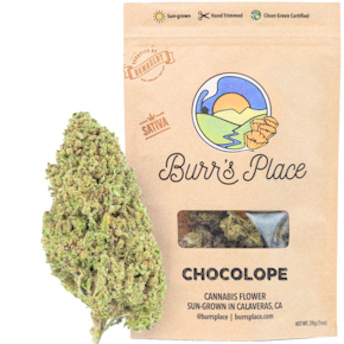 Burr's Place - Burr’s Place | Chocolope | Big Buds | 28g - 1