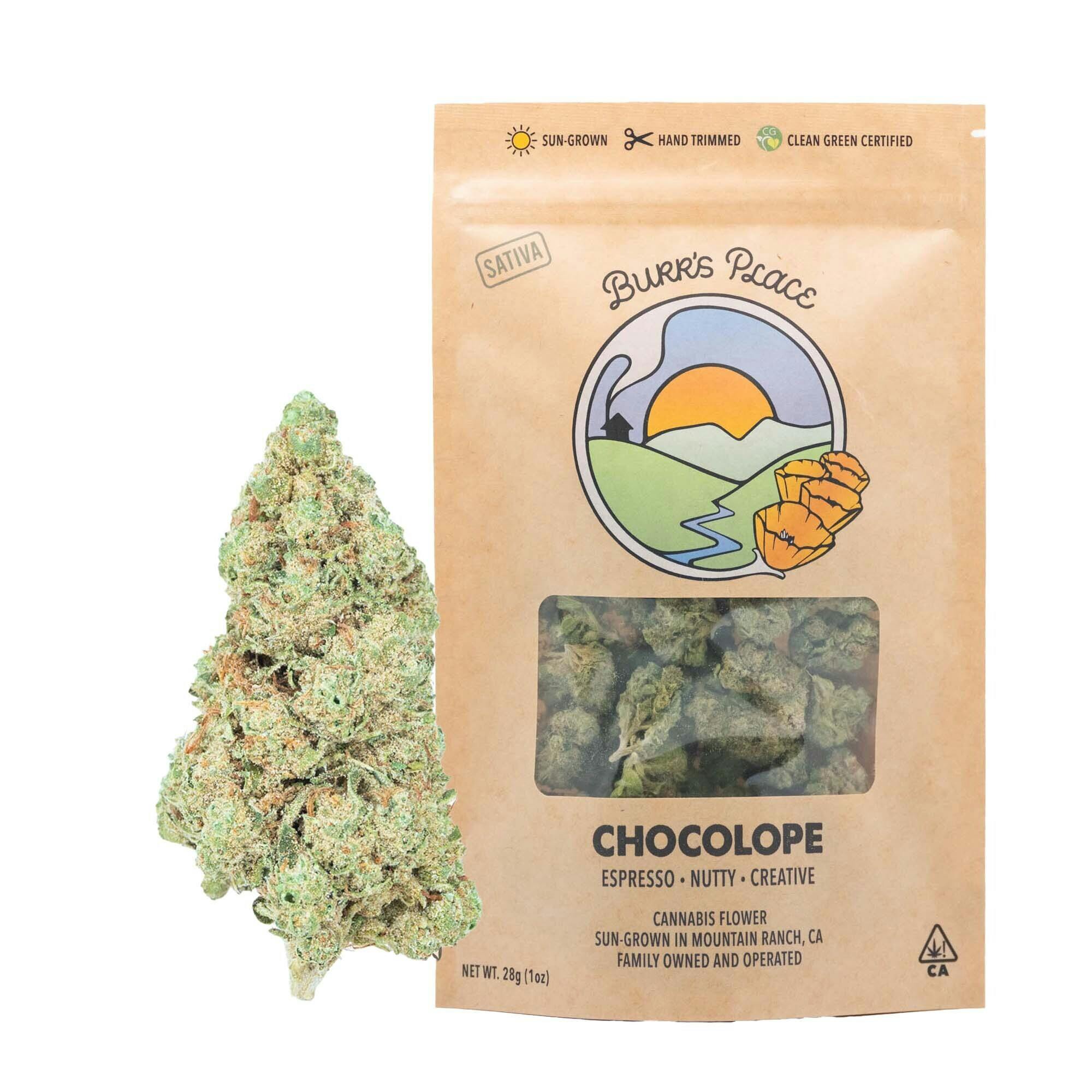 Burr's Place - Chocolope | Big Buds | 28g - 1