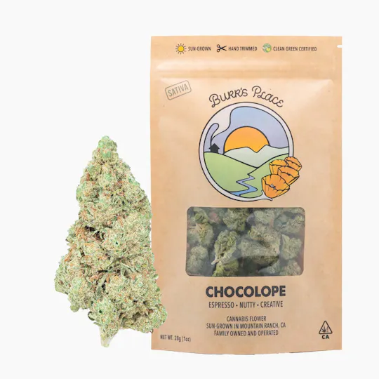 Burr's Place - Chocolope | Big Buds | 28g - 1