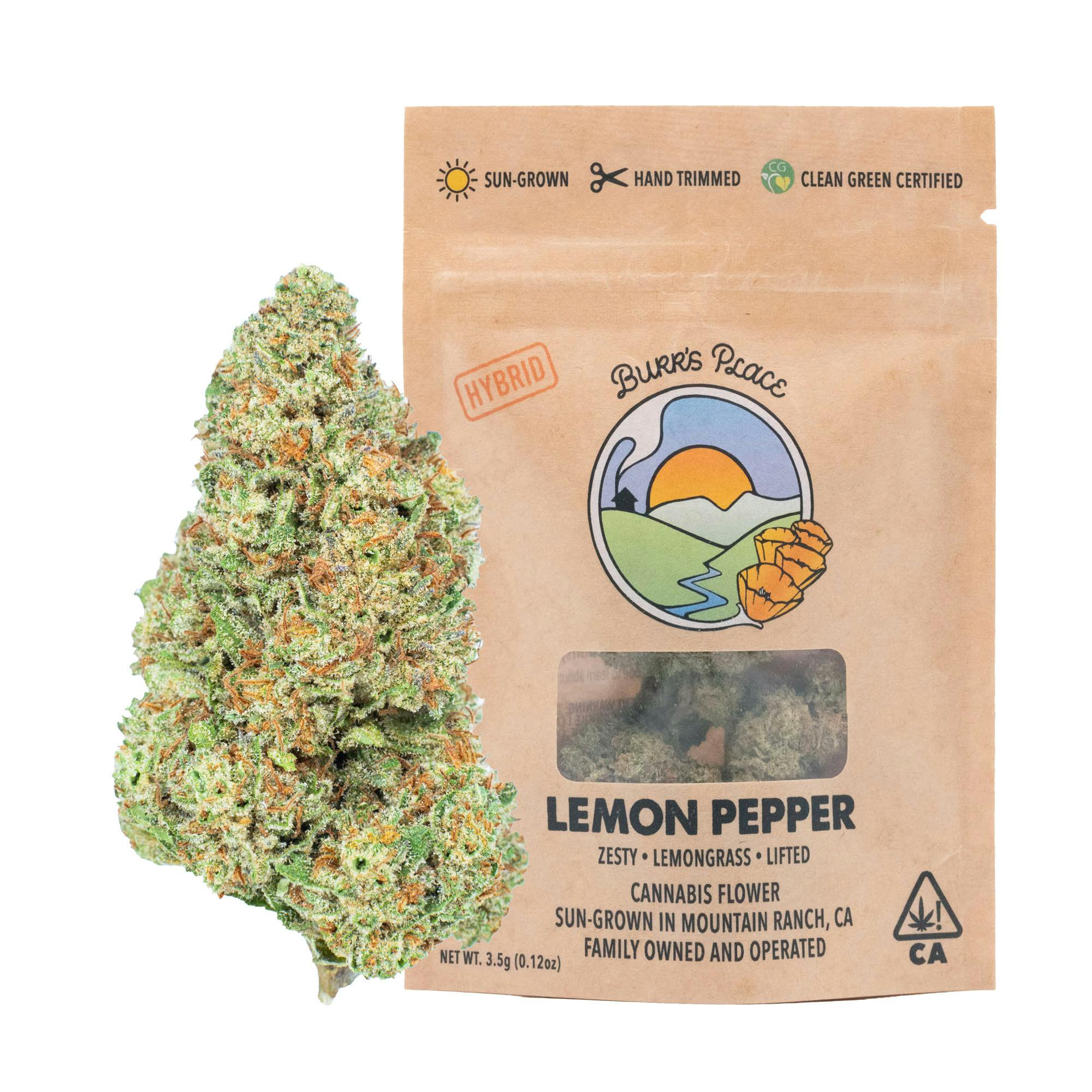 Burr's Place - Lemon Pepper | Big Buds | 3.5g - 1