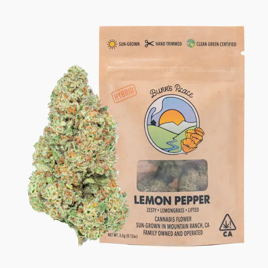 Burr's Place - Lemon Pepper | Big Buds | 3.5g - 1