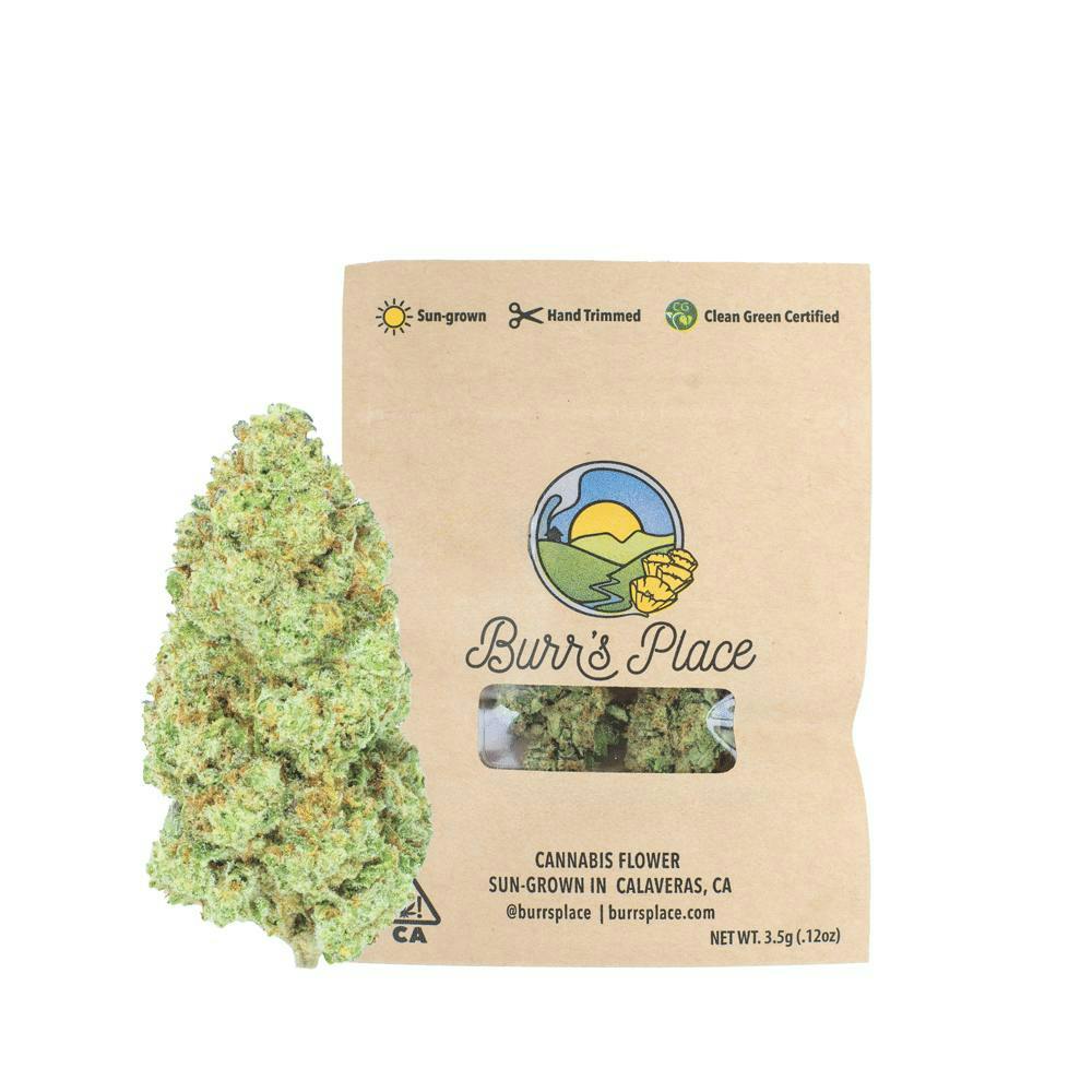 Burr's Place - Burr's Place | Royal Highness | Big Buds | 3.5g - 1