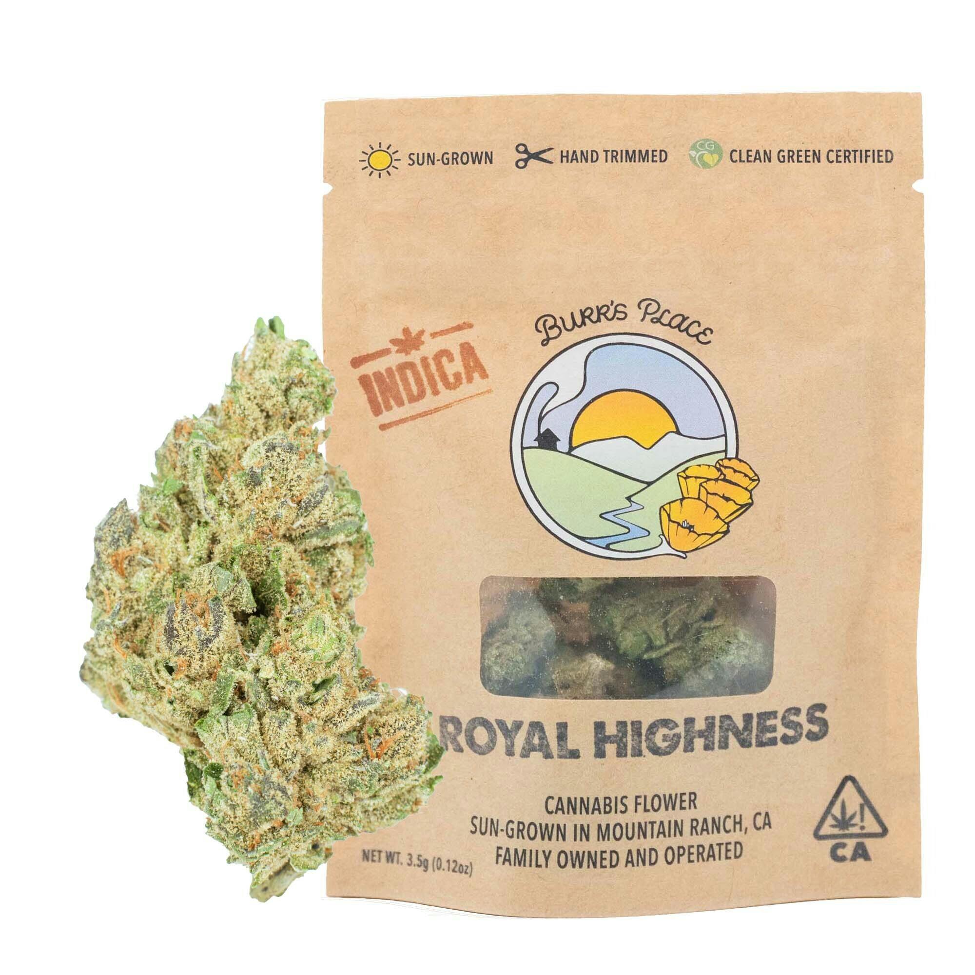 Burr's Place - Royal Highness | Big Buds | 3.5g - 1