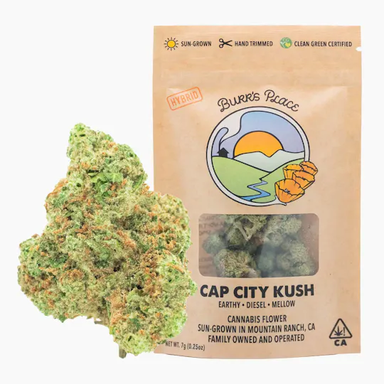 Burr's Place - Cap City Kush | Big Buds | 7g - 1