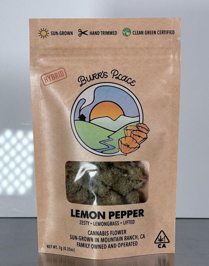 Burr's Place - Burr's Place | Lemon Pepper | Big Buds | 7g - 1