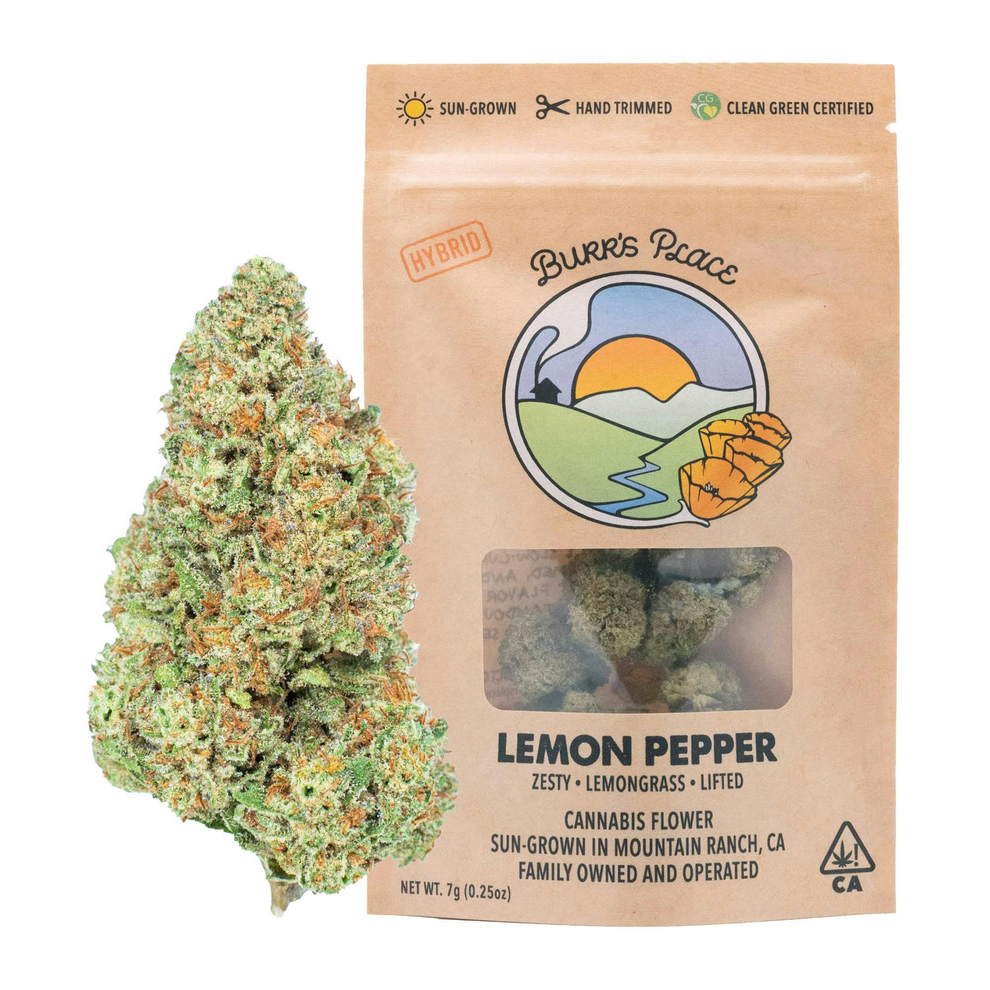 Burr's Place - Lemon Pepper | Big Buds | 7g - 1