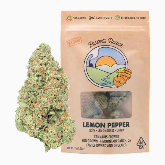Burr's Place - Lemon Pepper | Big Buds | 7g - 1