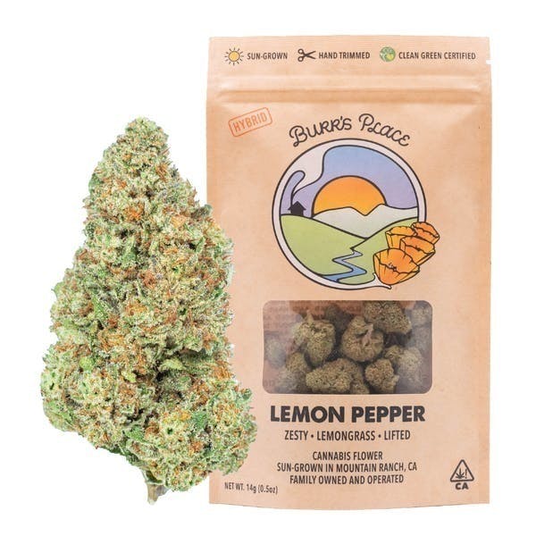 Burr's Place - Burr's Place | Lemon Pepper | Big Buds | 14g - 1