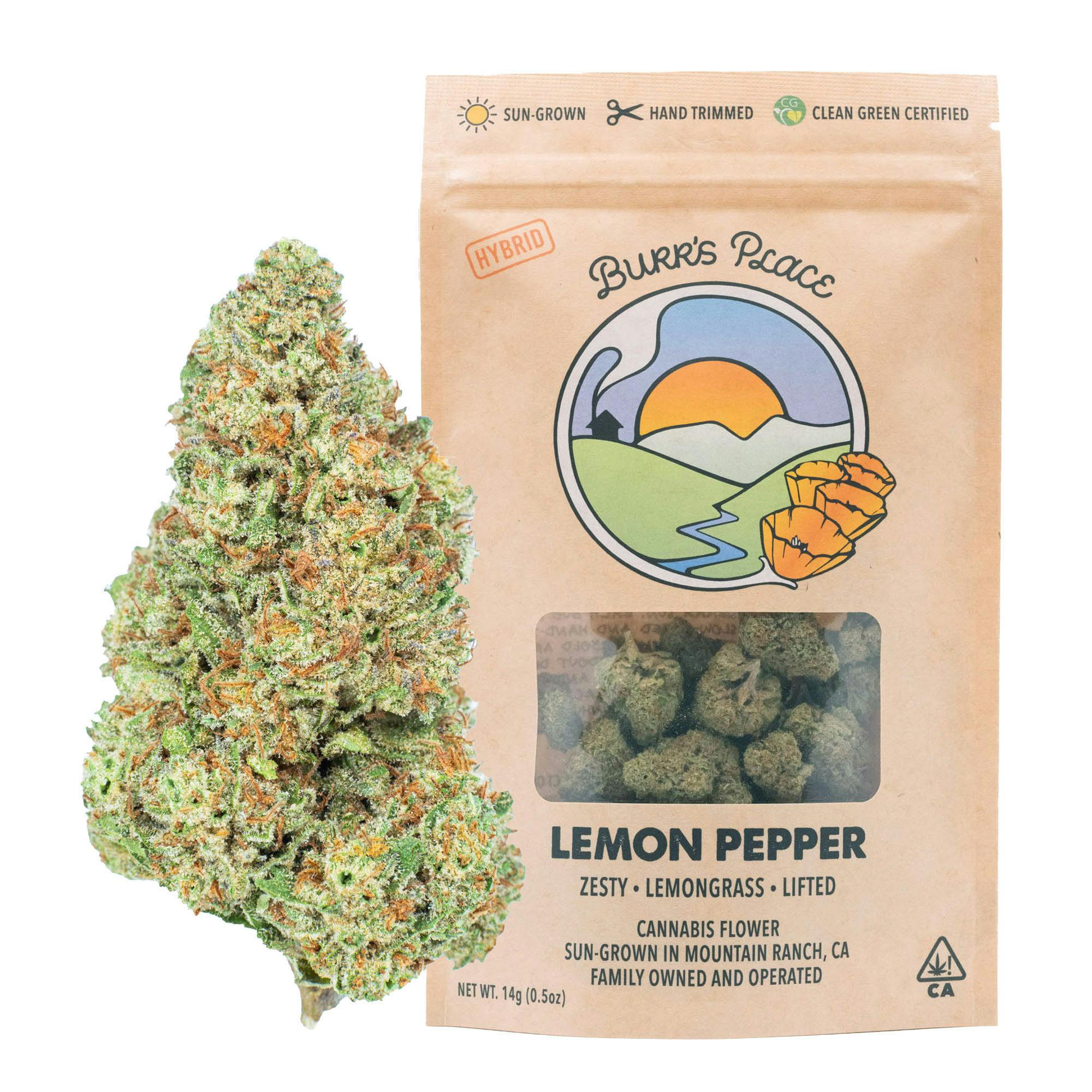 Burr's Place - Lemon Pepper | Big Buds | 14g - 1