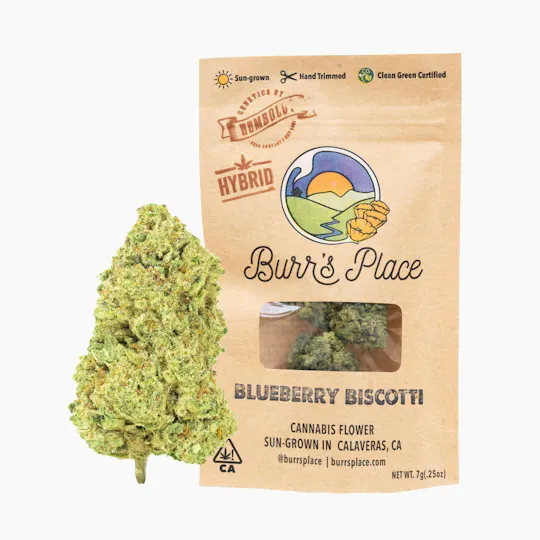 Burr's Place - Burr's Place | Blueberry Biscotti | Big Buds | 7g - 1