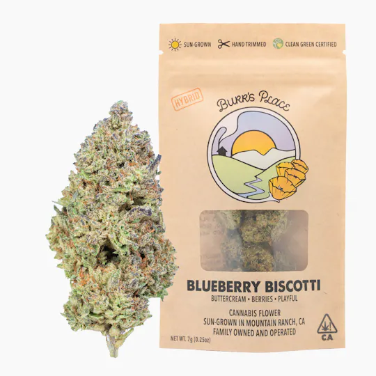 Burr's Place - Blueberry Biscotti | Big Buds | 7g - 1