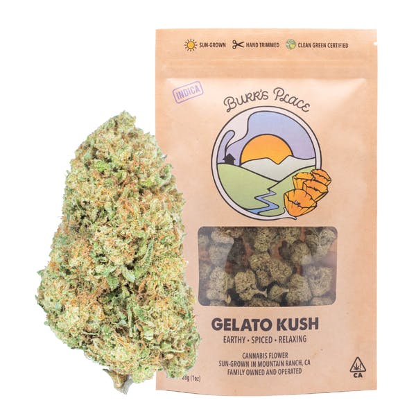 Burr's Place - Burr's Place | Gelato Kush | Big Buds | 28g - 1