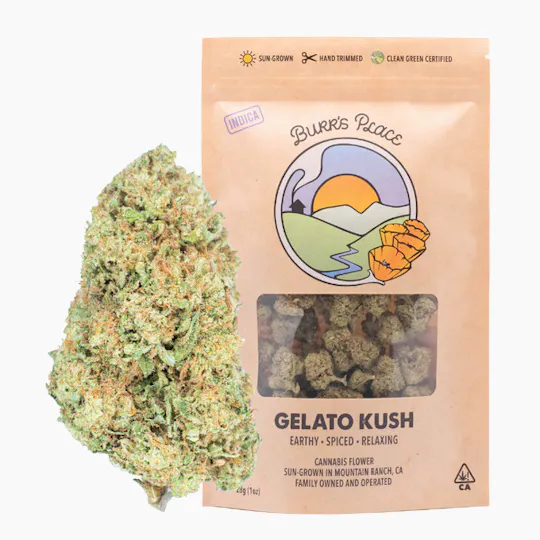 Burr's Place - Burr's Place | Gelato Kush | Big Buds | 28g - 1