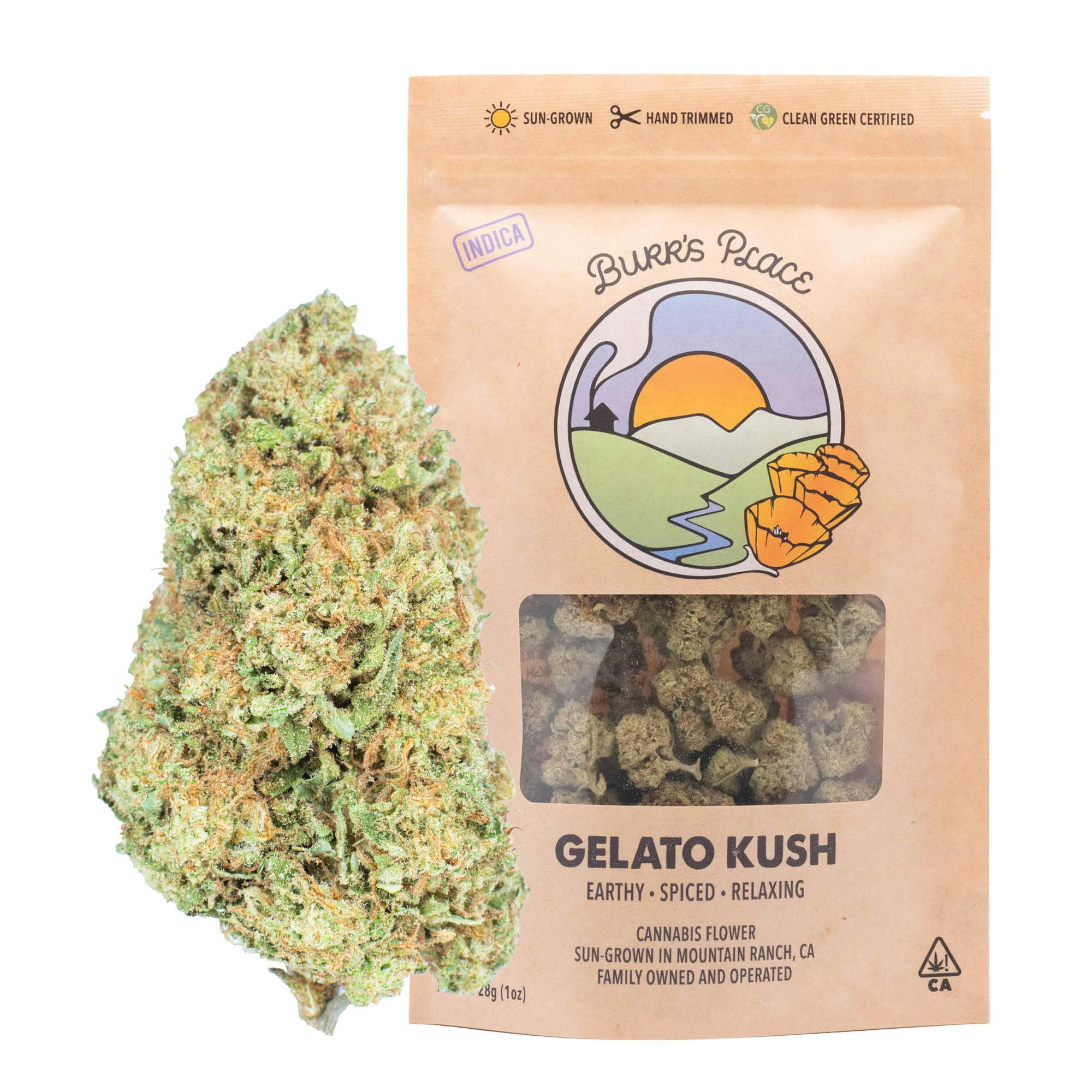Burr's Place - Gelato Kush | Big Buds | 28g - 1