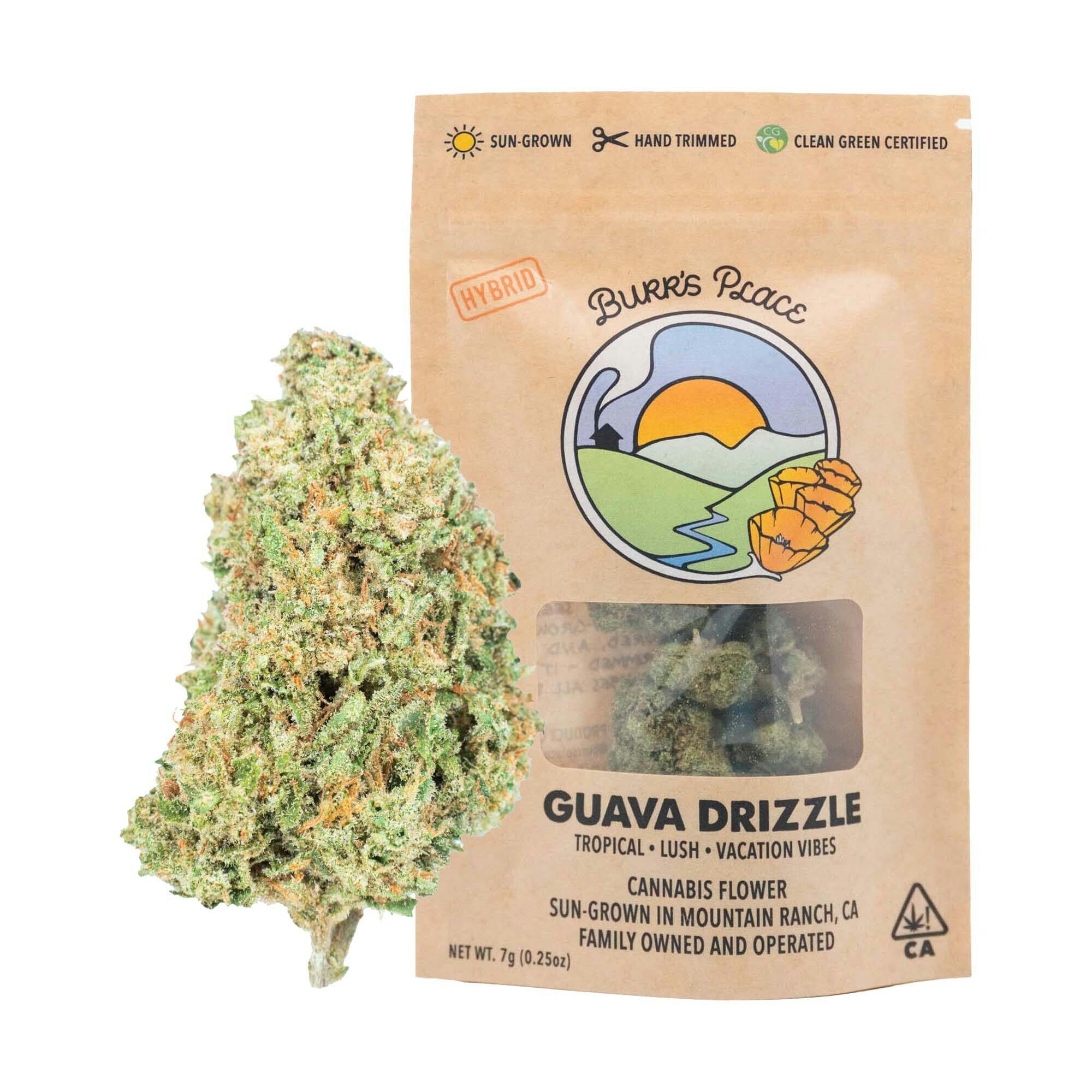 Burr's Place - Guava Drizzle | Big Buds | 7g - 1