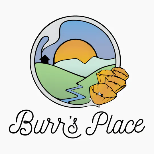 Burr's Place - Burr's Place | Ooh Mami | Big Buds | 7g - 1