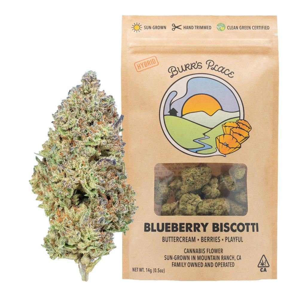 Burr's Place - Blueberry Biscotti | Big Buds | 14g - 1