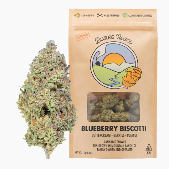 Burr's Place - Blueberry Biscotti | Big Buds | 14g - 1