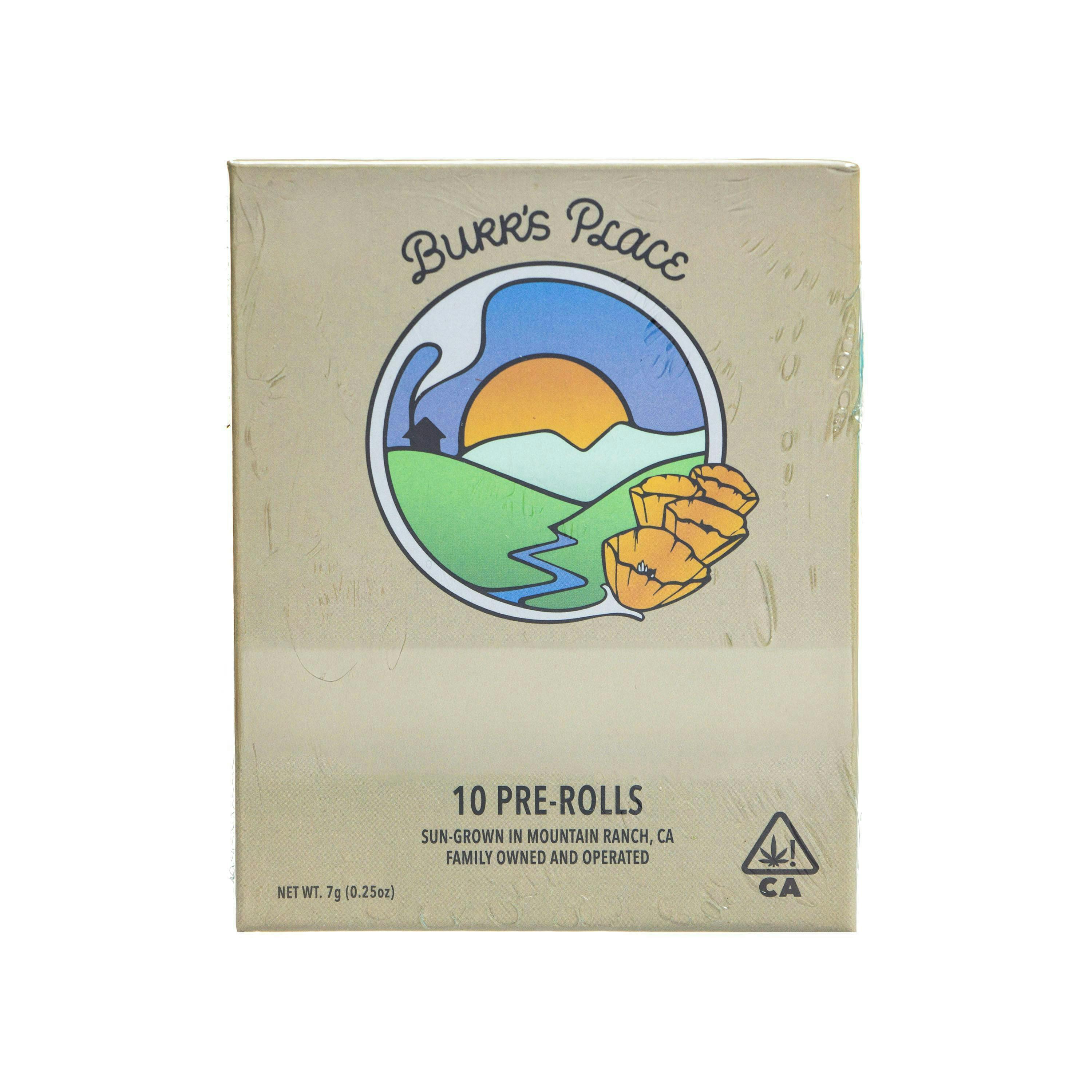 Burr's Place - Burr's Place | Mountain Mint | Joints | 0.7g each | 10pk - 1