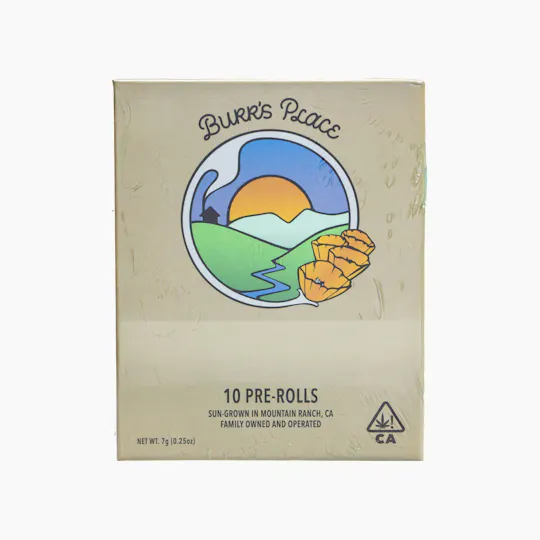 Burr's Place - Burr's Place | Mountain Mint | Joints | 0.7g each | 10pk - 1