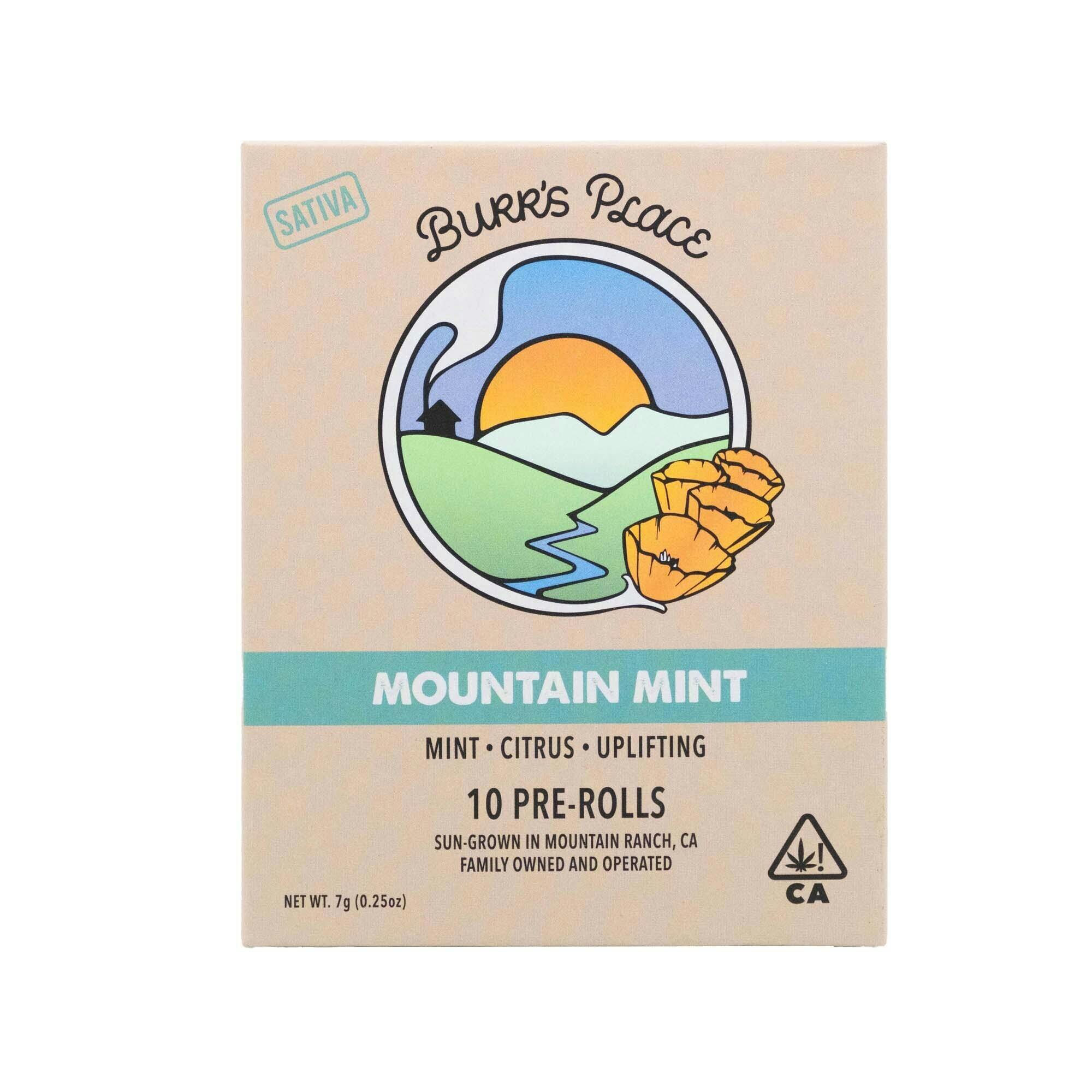 Burr's Place - Mountain Mint | Joints | 0.7g each | 10pk - 1