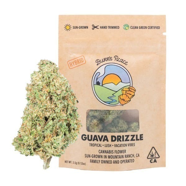 Burr's Place - Burr's Place | Guava Drizzle | Big Buds | 3.5g - 1