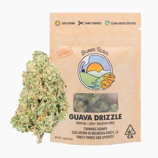 Burr's Place - Burr's Place | Guava Drizzle | Big Buds | 3.5g - 1