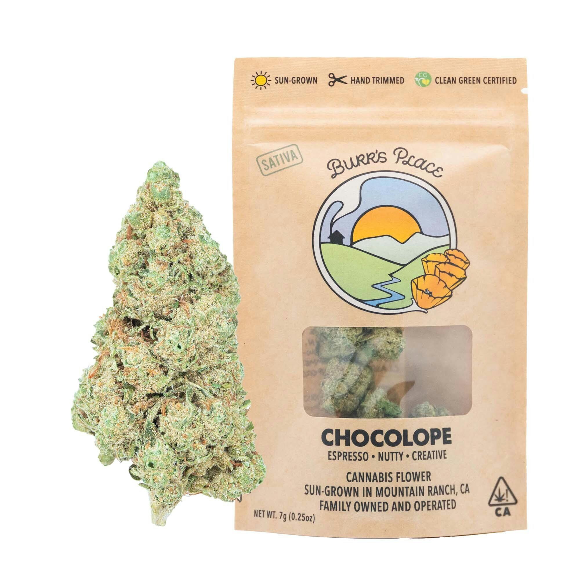 Burr's Place - Chocolope | Big Buds | 7g - 1