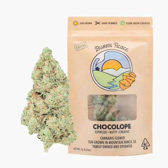 Burr's Place - Chocolope | Big Buds | 7g - 1