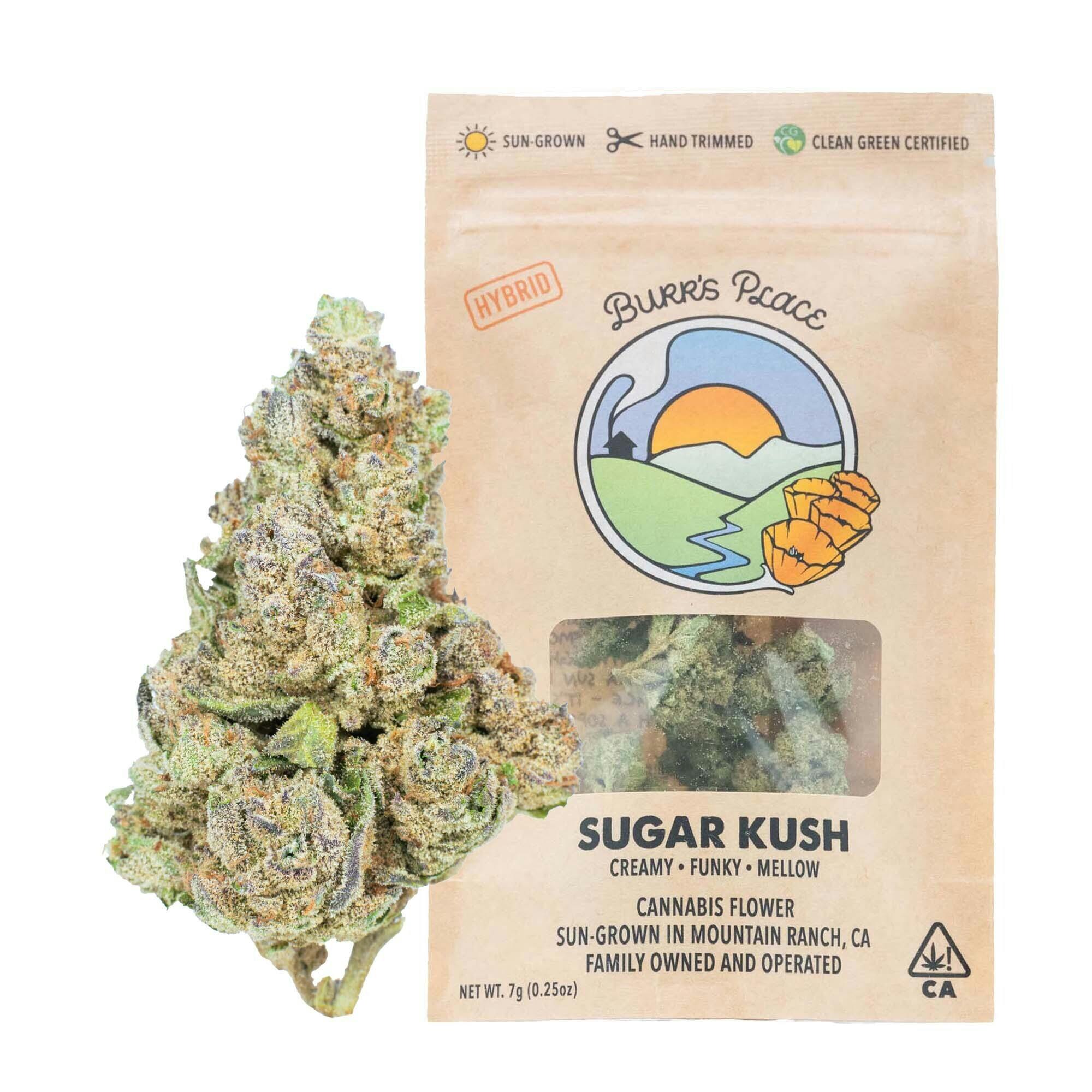 Burr's Place - Sugar Kush | Big Buds | 7g - 1