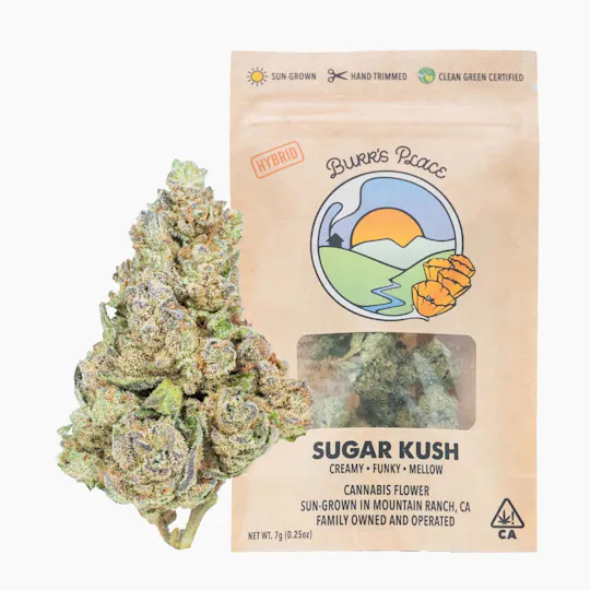 Burr's Place - Sugar Kush | Big Buds | 7g - 1