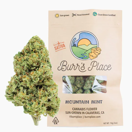 Burr's Place - Burr's Place | Mountain Mint | Smalls | 14g - 1
