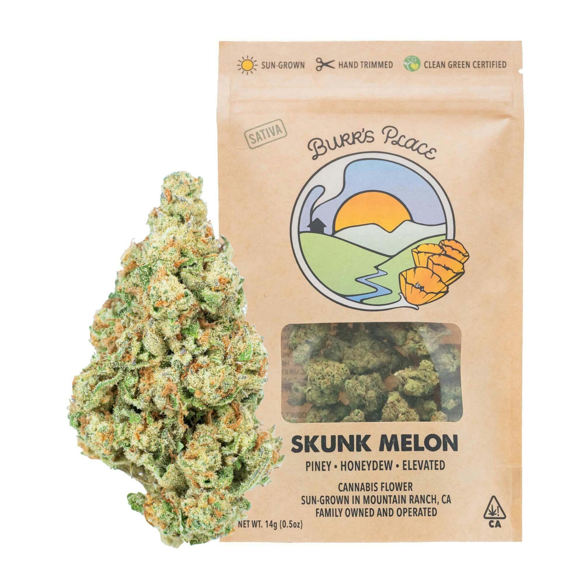 Burr's Place - Skunk Melon | Big Buds | 14g - 1