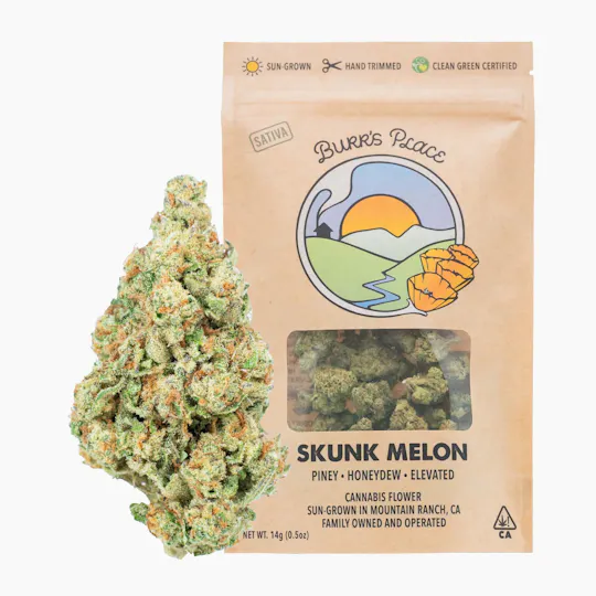Burr's Place - Skunk Melon | Big Buds | 14g - 1