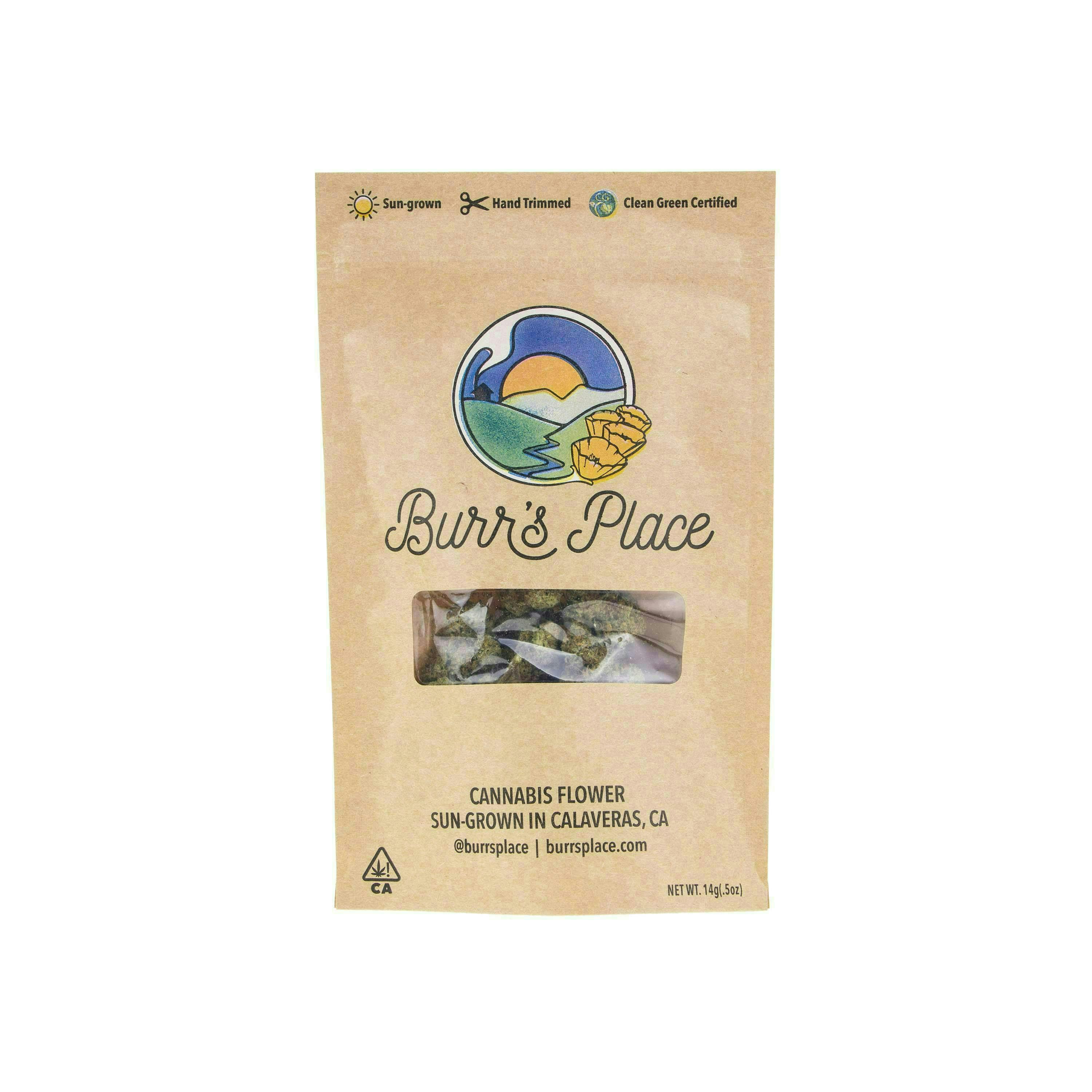Burr's Place - Burr's Place | Sugar Kush | Big Buds | 14g - 1
